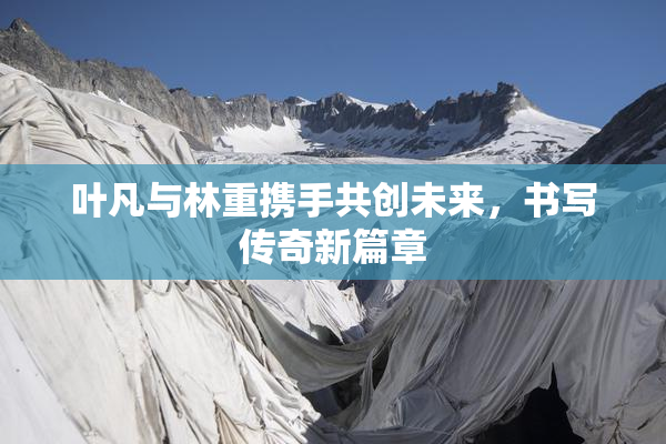 叶凡与林重携手共创未来，书写传奇新篇章