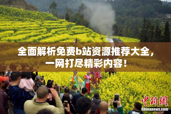 全面解析免费b站资源推荐大全，一网打尽精彩内容！