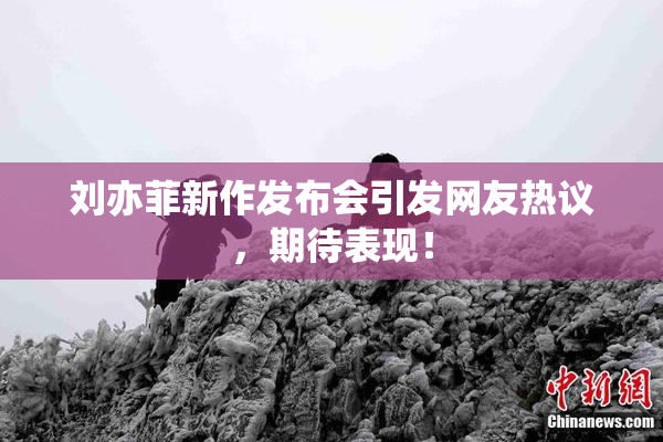 刘亦菲新作发布会引发网友热议，期待表现！