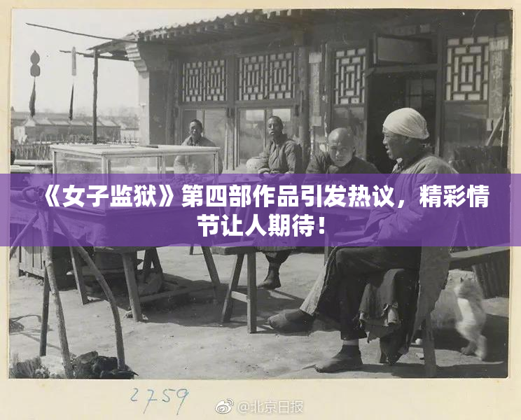 《女子监狱》第四部作品引发热议，精彩情节让人期待！