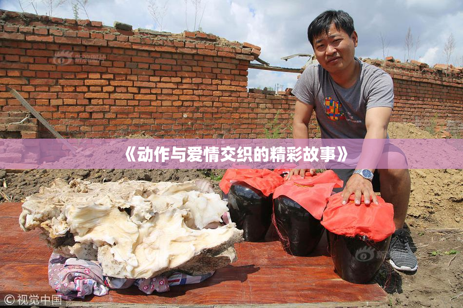 《动作与爱情交织的精彩故事》