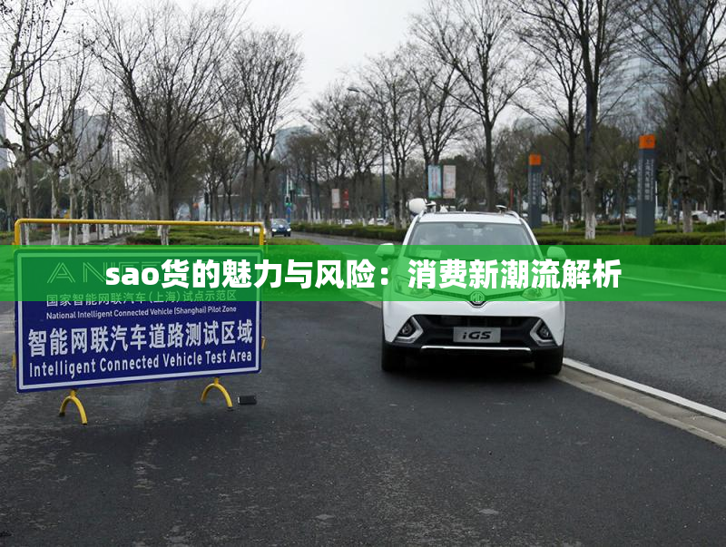 sao货的魅力与风险：消费新潮流解析
