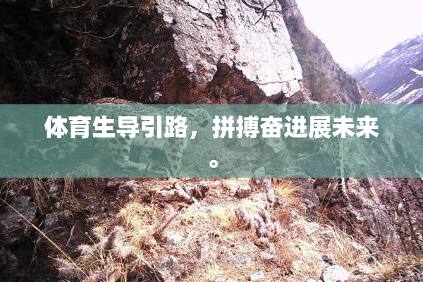 体育生导引路，拼搏奋进展未来。
