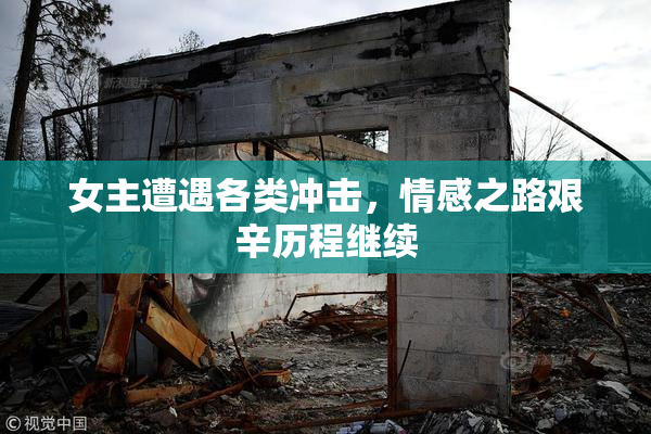 女主遭遇各类冲击，情感之路艰辛历程继续
