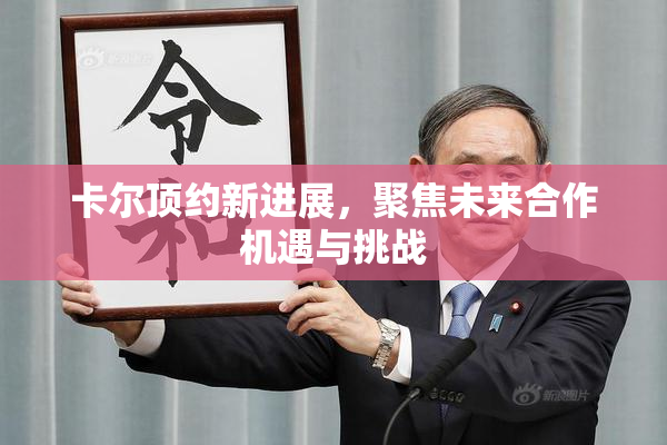 卡尔顶约新进展，聚焦未来合作机遇与挑战