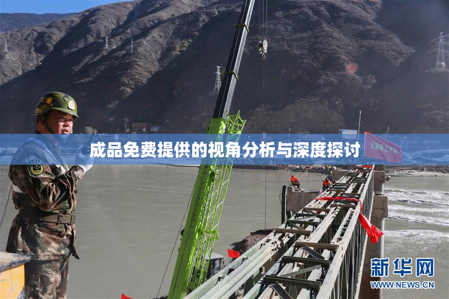 成品免费提供的视角分析与深度探讨