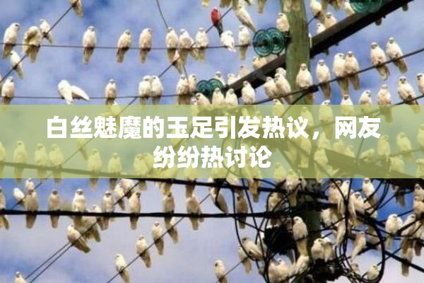 白丝魅魔的玉足引发热议，网友纷纷热讨论