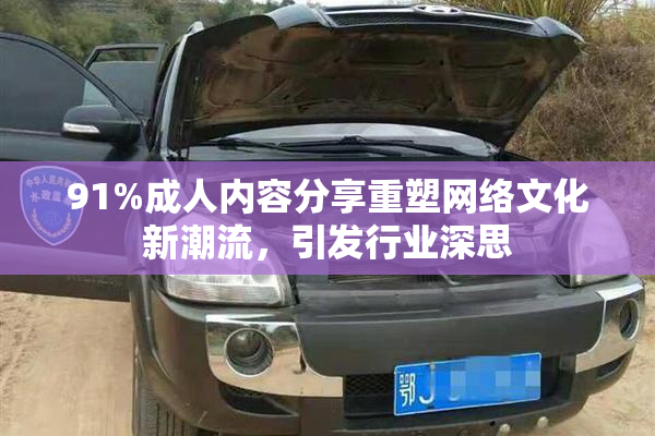 91%成人内容分享重塑网络文化新潮流，引发行业深思
