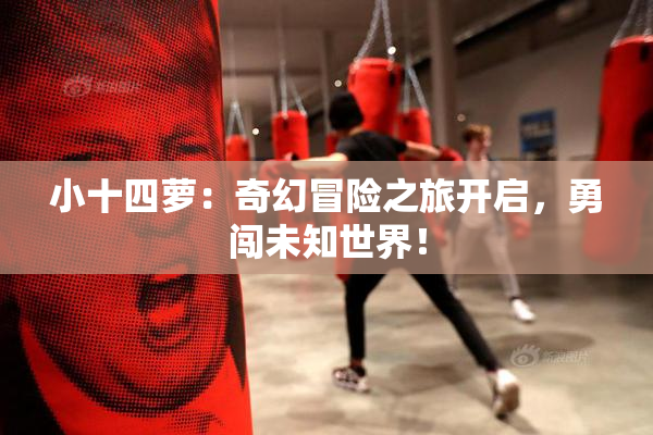 小十四萝：奇幻冒险之旅开启，勇闯未知世界！