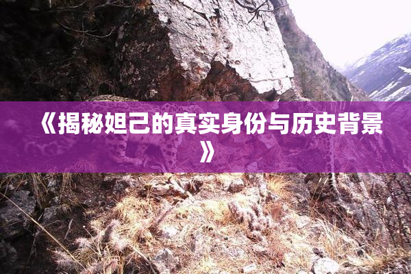 《揭秘妲己的真实身份与历史背景》