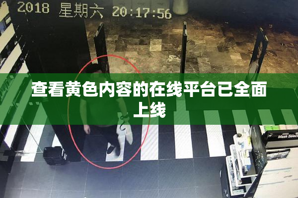 查看黄色内容的在线平台已全面上线