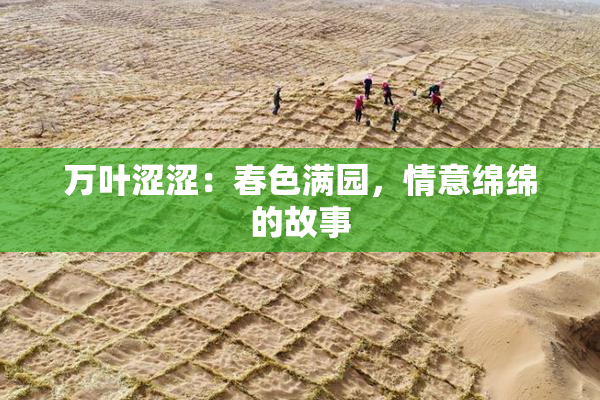 万叶涩涩：春色满园，情意绵绵的故事