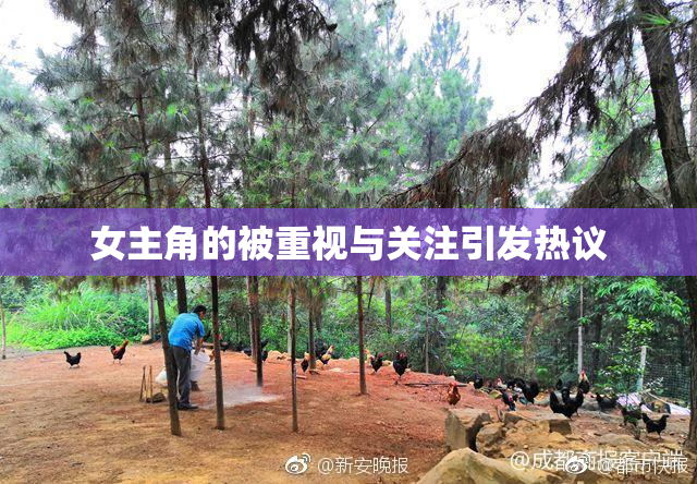 女主角的被重视与关注引发热议