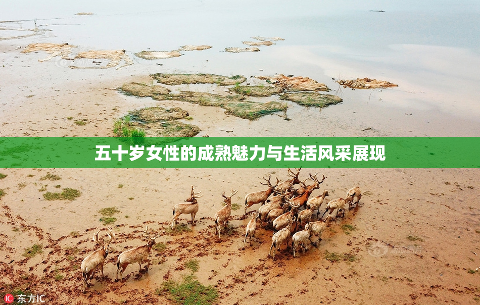 五十岁女性的成熟魅力与生活风采展现