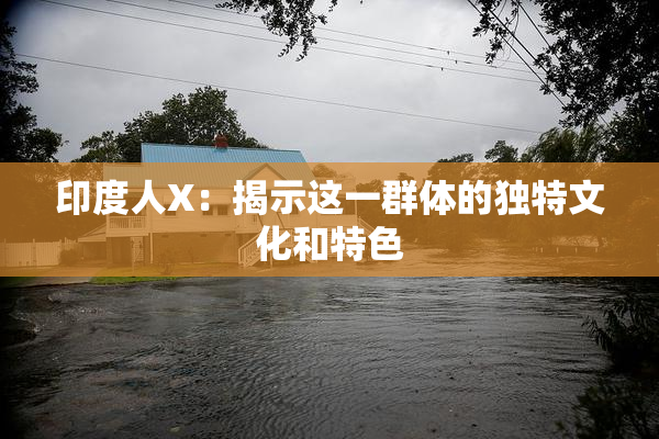 印度人X：揭示这一群体的独特文化和特色