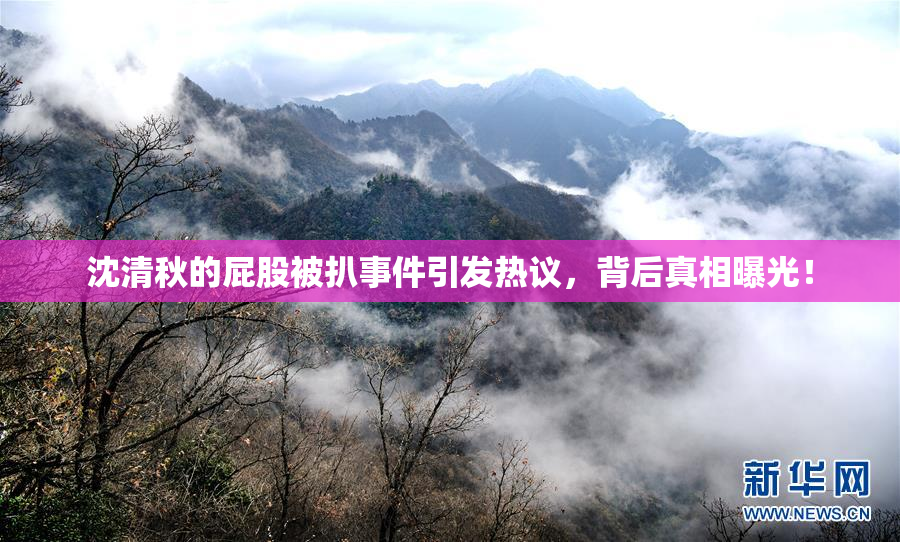 沈清秋的屁股被扒事件引发热议，背后真相曝光！