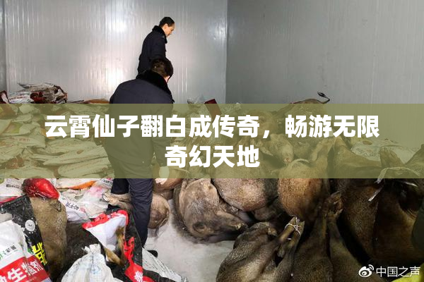 云霄仙子翻白成传奇，畅游无限奇幻天地