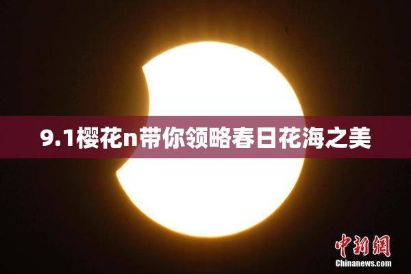 9.1樱花n带你领略春日花海之美