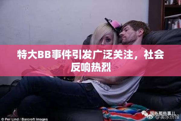 特大BB事件引发广泛关注，社会反响热烈