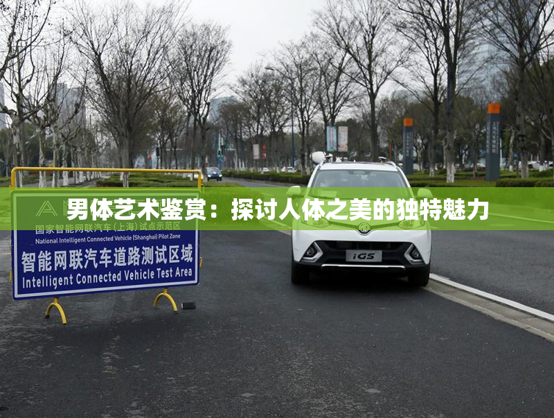 男体艺术鉴赏：探讨人体之美的独特魅力