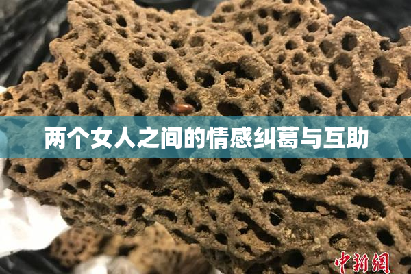 两个女人之间的情感纠葛与互助