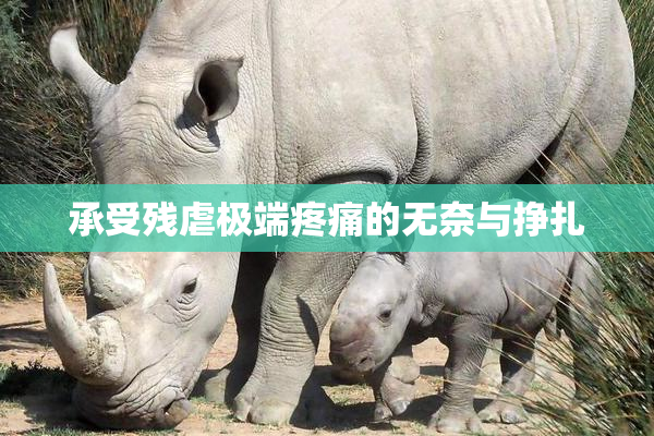 承受残虐极端疼痛的无奈与挣扎