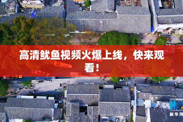 高清鱿鱼视频火爆上线，快来观看！