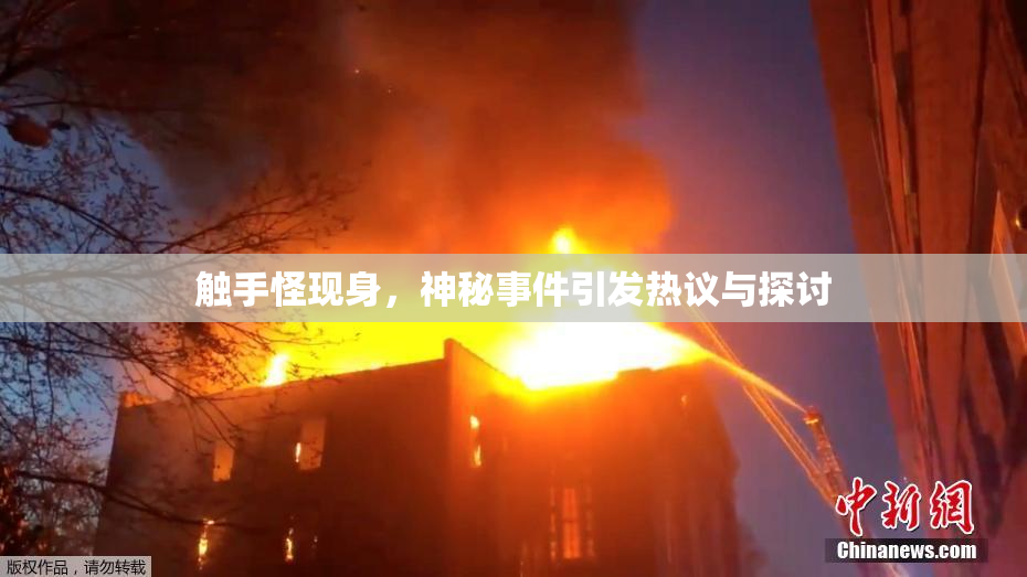 触手怪现身，神秘事件引发热议与探讨