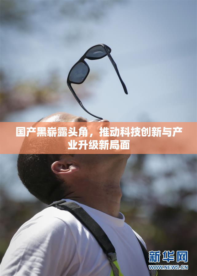 国产黑崭露头角，推动科技创新与产业升级新局面