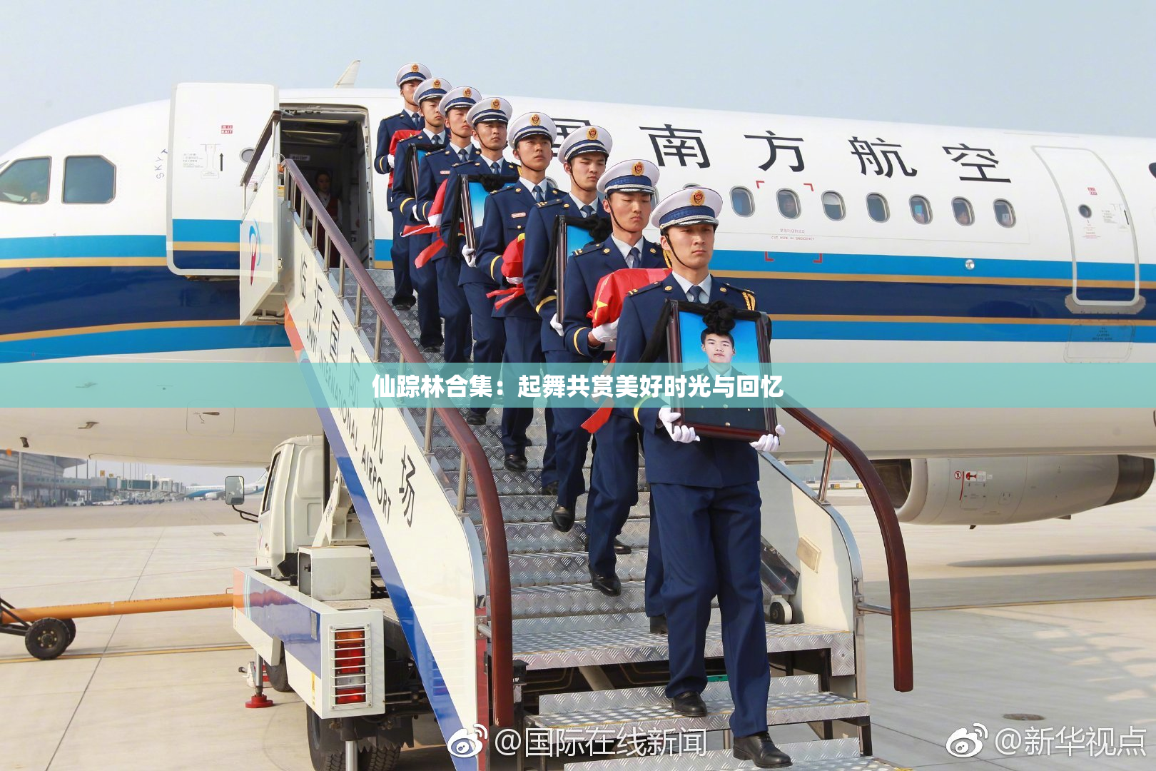 仙踪林合集：起舞共赏美好时光与回忆