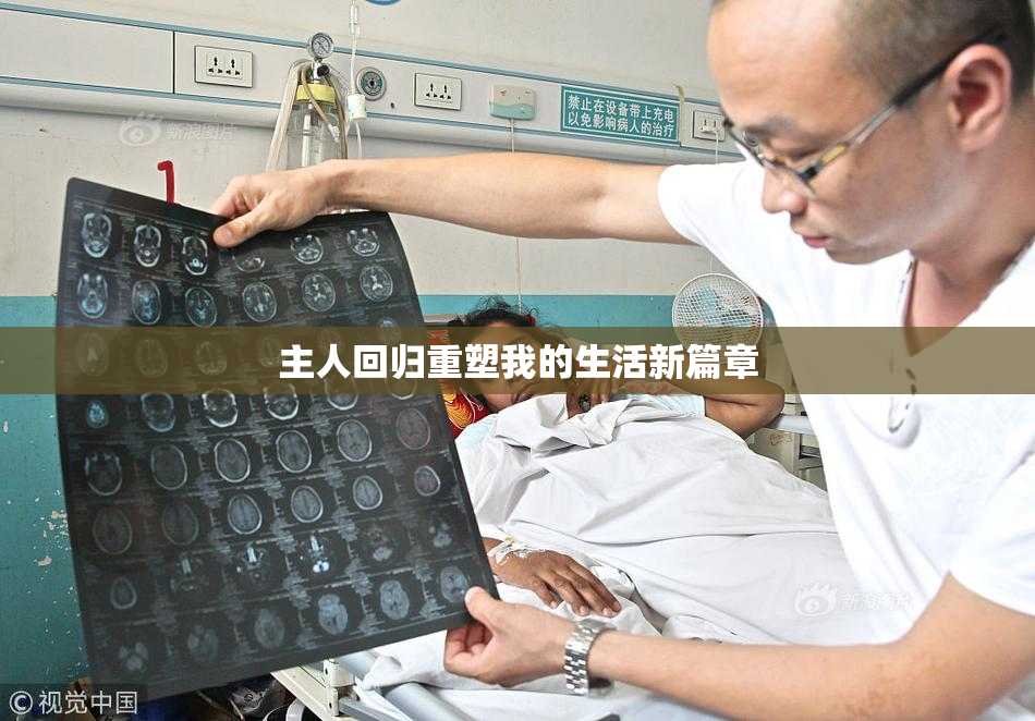 主人回归重塑我的生活新篇章
