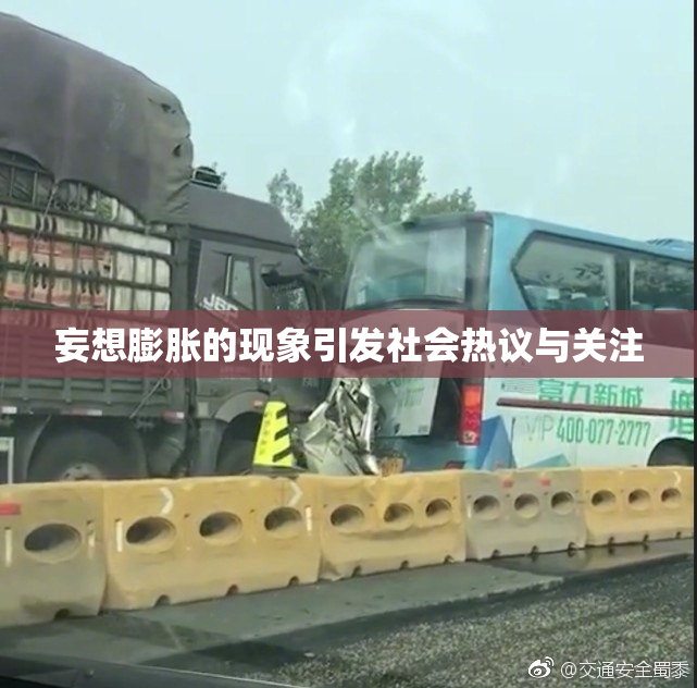 妄想膨胀的现象引发社会热议与关注