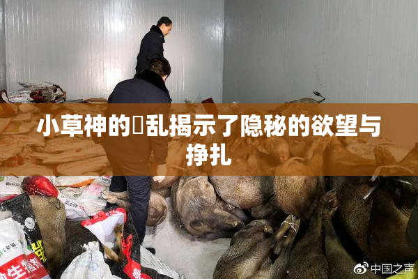 小草神的婬乱揭示了隐秘的欲望与挣扎