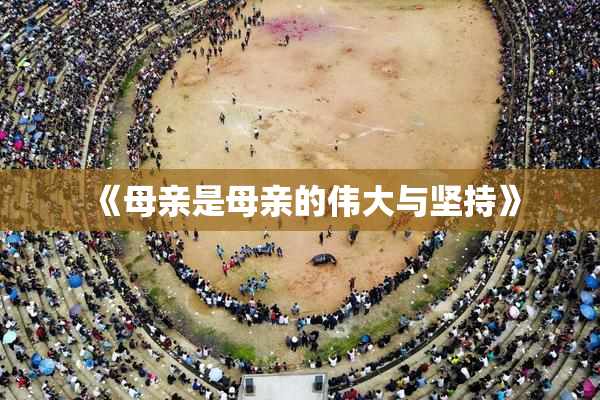 《母亲是母亲的伟大与坚持》