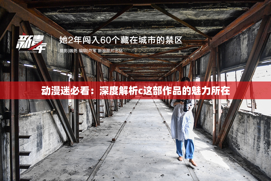 动漫迷必看：深度解析c这部作品的魅力所在