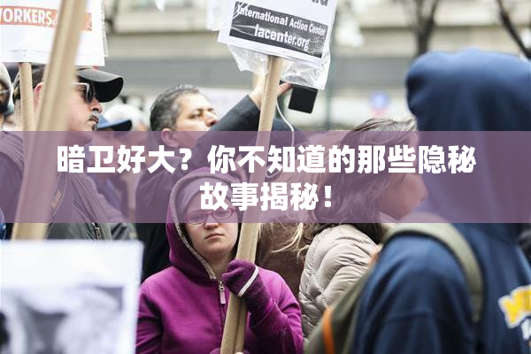 暗卫好大？你不知道的那些隐秘故事揭秘！