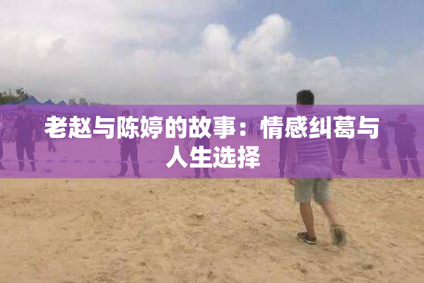 老赵与陈婷的故事：情感纠葛与人生选择