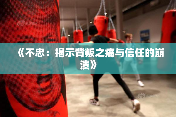 《不忠：揭示背叛之痛与信任的崩溃》