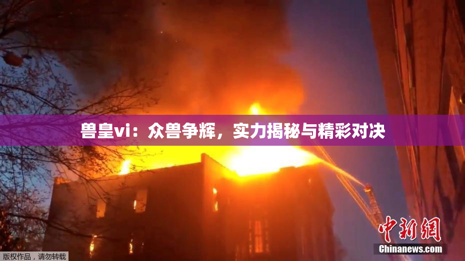 兽皇vi：众兽争辉，实力揭秘与精彩对决