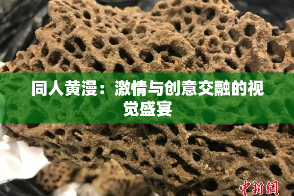 同人黄漫：激情与创意交融的视觉盛宴