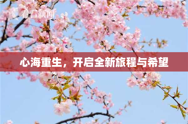 心海重生，开启全新旅程与希望