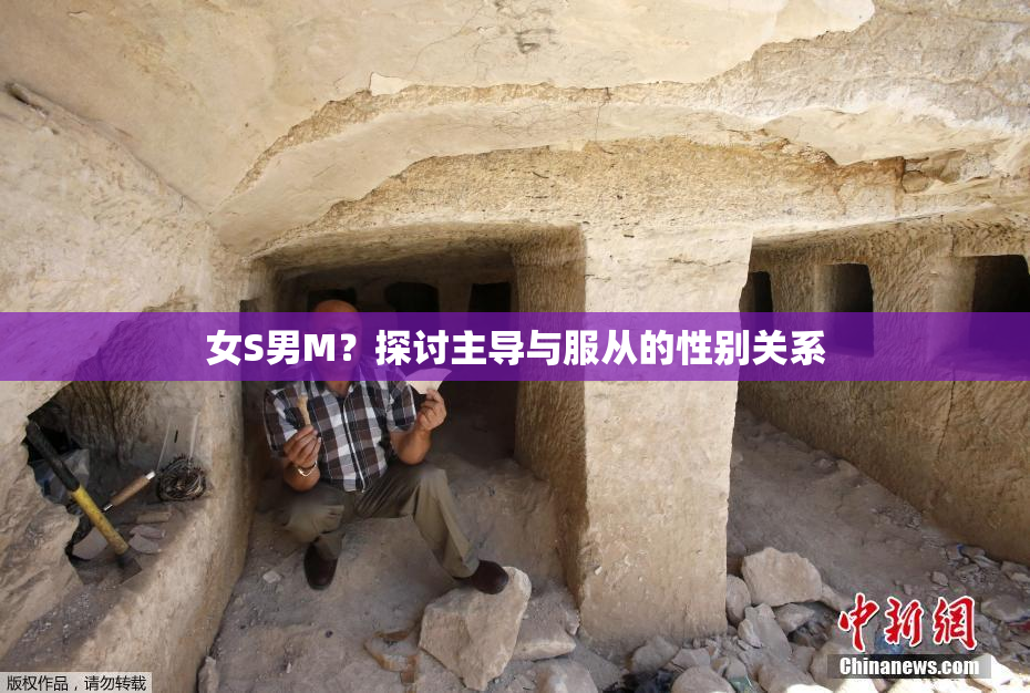 女S男M？探讨主导与服从的性别关系