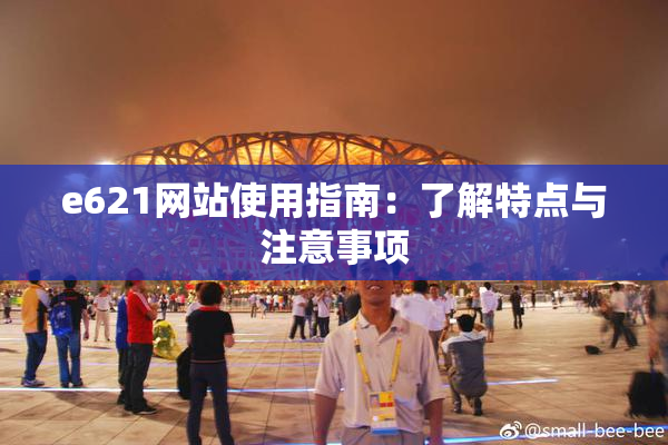 e621网站使用指南：了解特点与注意事项