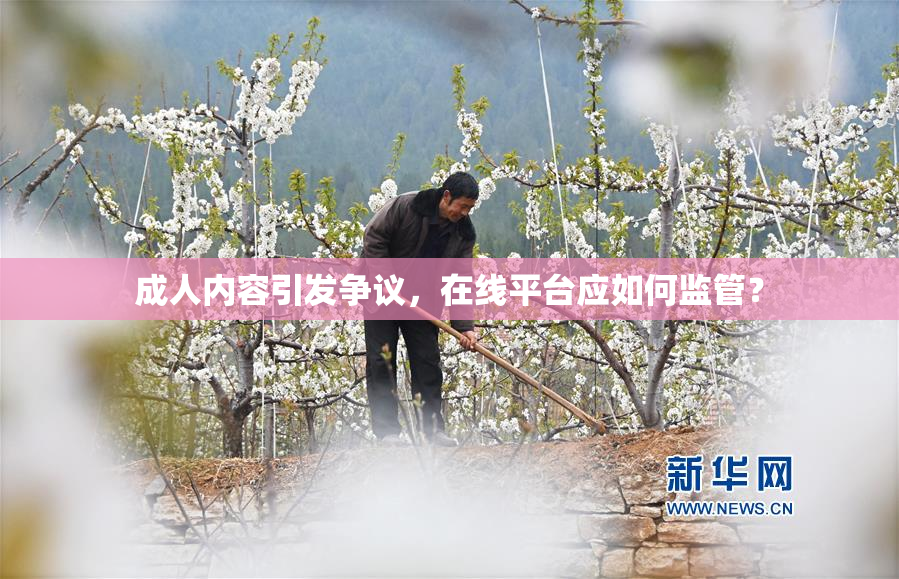 成人内容引发争议，在线平台应如何监管？