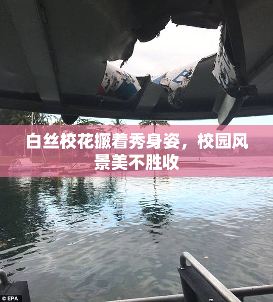 白丝校花撅着秀身姿，校园风景美不胜收