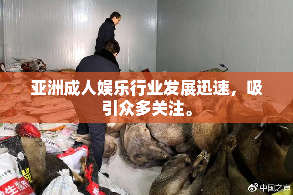 亚洲成人娱乐行业发展迅速，吸引众多关注。