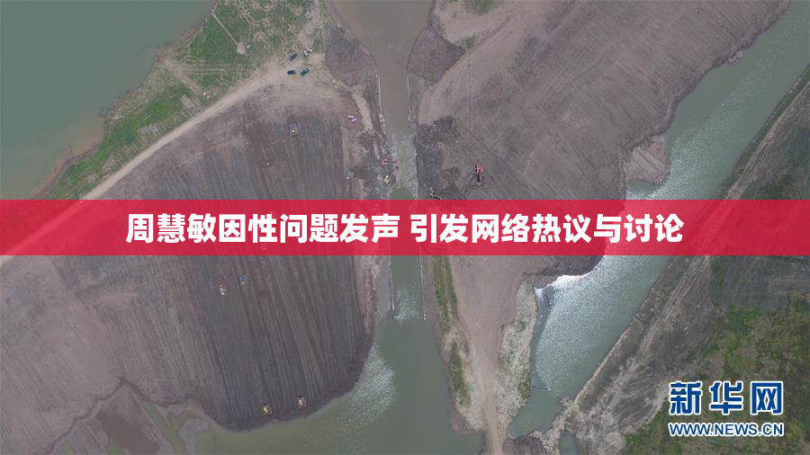周慧敏因性问题发声 引发网络热议与讨论