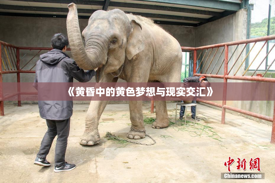 《黄昏中的黄色梦想与现实交汇》