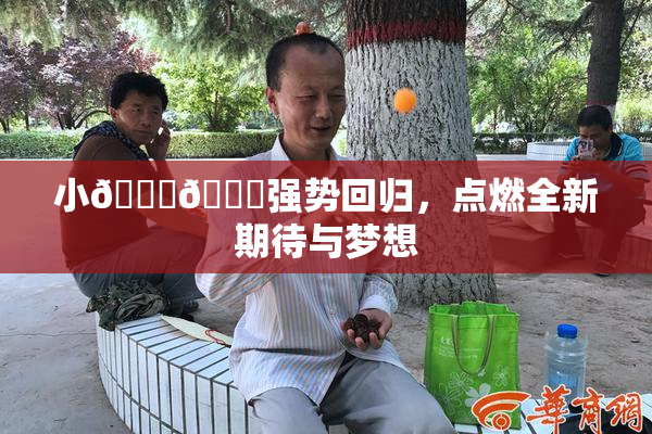 小🐔🐔强势回归，点燃全新期待与梦想