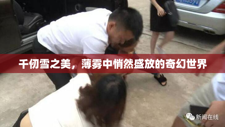 千仞雪之美，薄雾中悄然盛放的奇幻世界